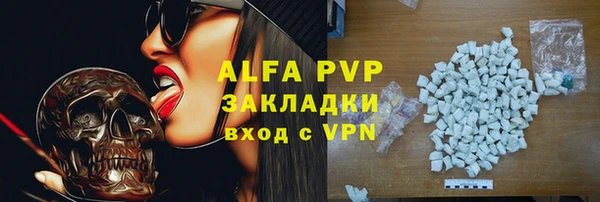 индика Заволжск