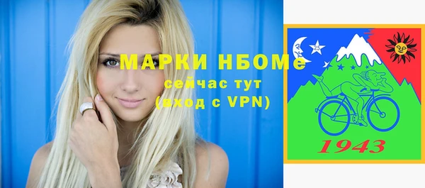 индика Заволжск