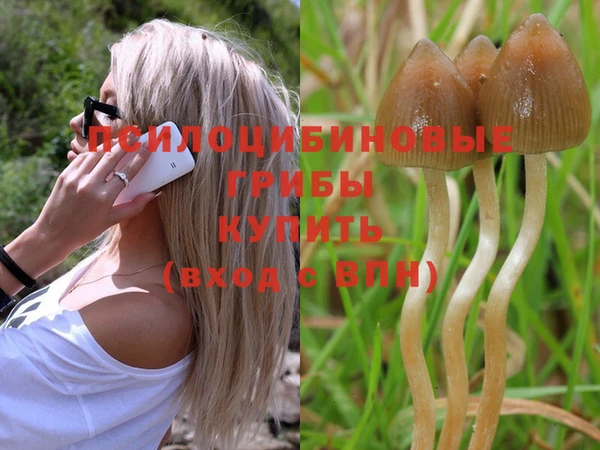 винт Заволжье