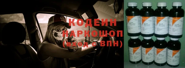 индика Заволжск