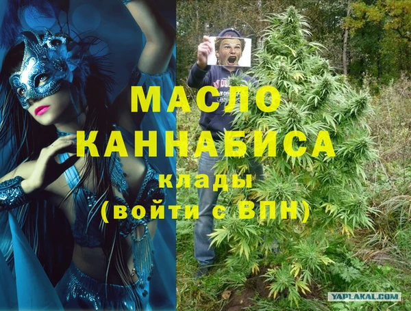 индика Заволжск