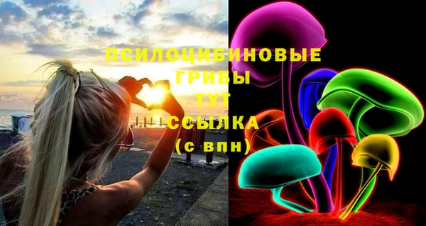 mdpv Зеленодольск